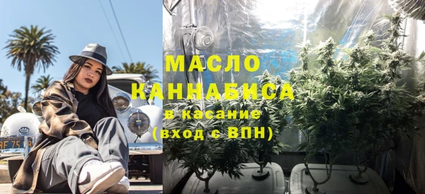 твердый Дмитровск
