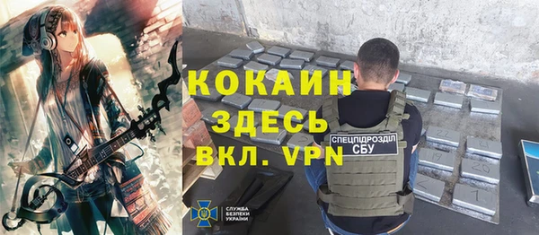 твердый Дмитровск