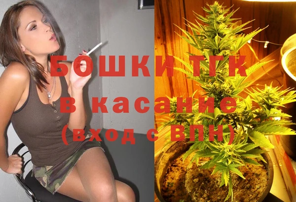 твердый Дмитровск
