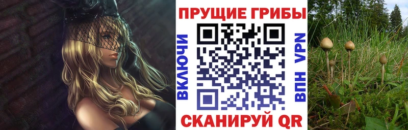Псилоцибиновые грибы Psilocybine cubensis  Купить  Карталы 